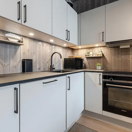 Charming New Ski-in Ski-out In Apartment