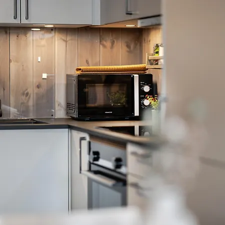 Apartment Charming New Ski-in Ski-out In